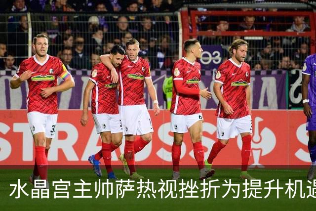 水晶宫主帅萨热视挫折为提升机遇